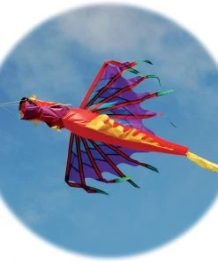 Spirit Of Air Dragon Windsock - Fire FLAG POLES & WINDSOCKS