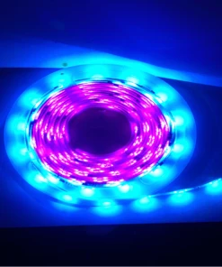 Newquay Camping And Leisure 5M Flag Pole Pre-Set Digital Led Dream Lights Strip