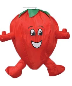 Spirit Of Air Windsocks Strawberry Windsock